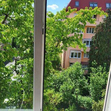 Apartament Florilor Baia Mare Extérieur photo