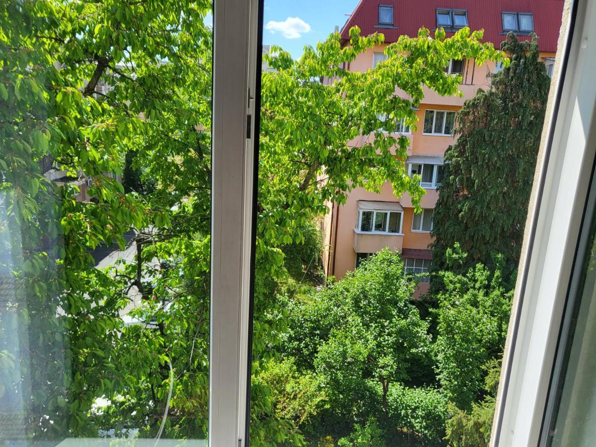 Apartament Florilor Baia Mare Extérieur photo